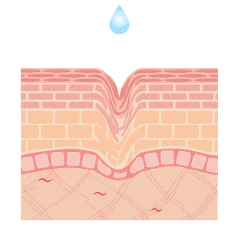 hikari,mindbeautyhk,mindbeauty,mbstorehk,mindbeautystore,胎盤素,胎盤素 功效,胎盤 精華,placenta,氨基酸,日本,樂天 日本,抗衰老,美白,保濕