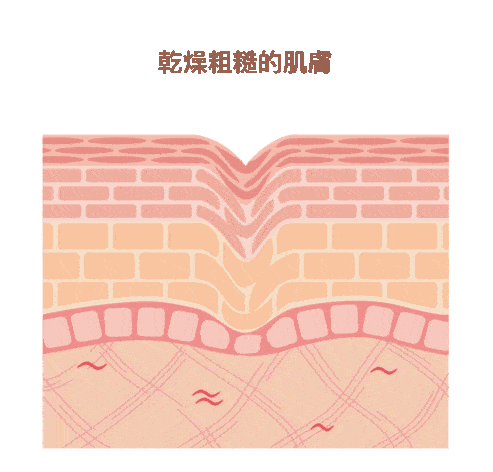 hikari,mindbeautyhk,mindbeauty,mbstorehk,mindbeautystore,胎盤素,胎盤素 功效,胎盤 精華,placenta,氨基酸,日本,樂天 日本,抗衰老,美白,保濕